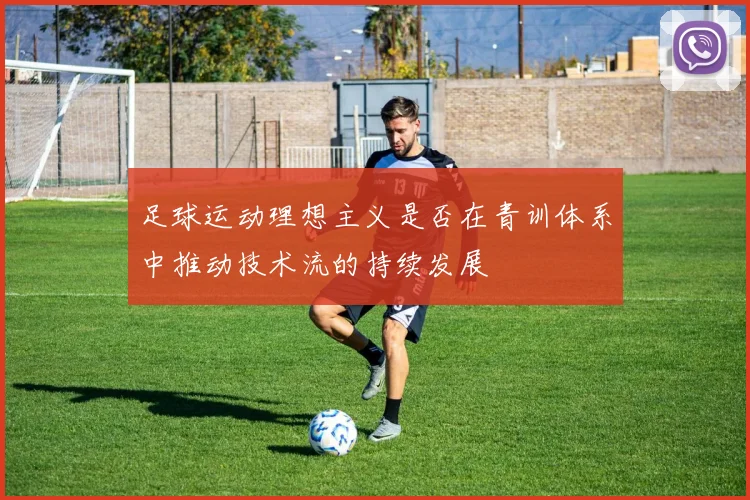 足球运动理想主义是否在青训体系中推动技术流的持续发展
